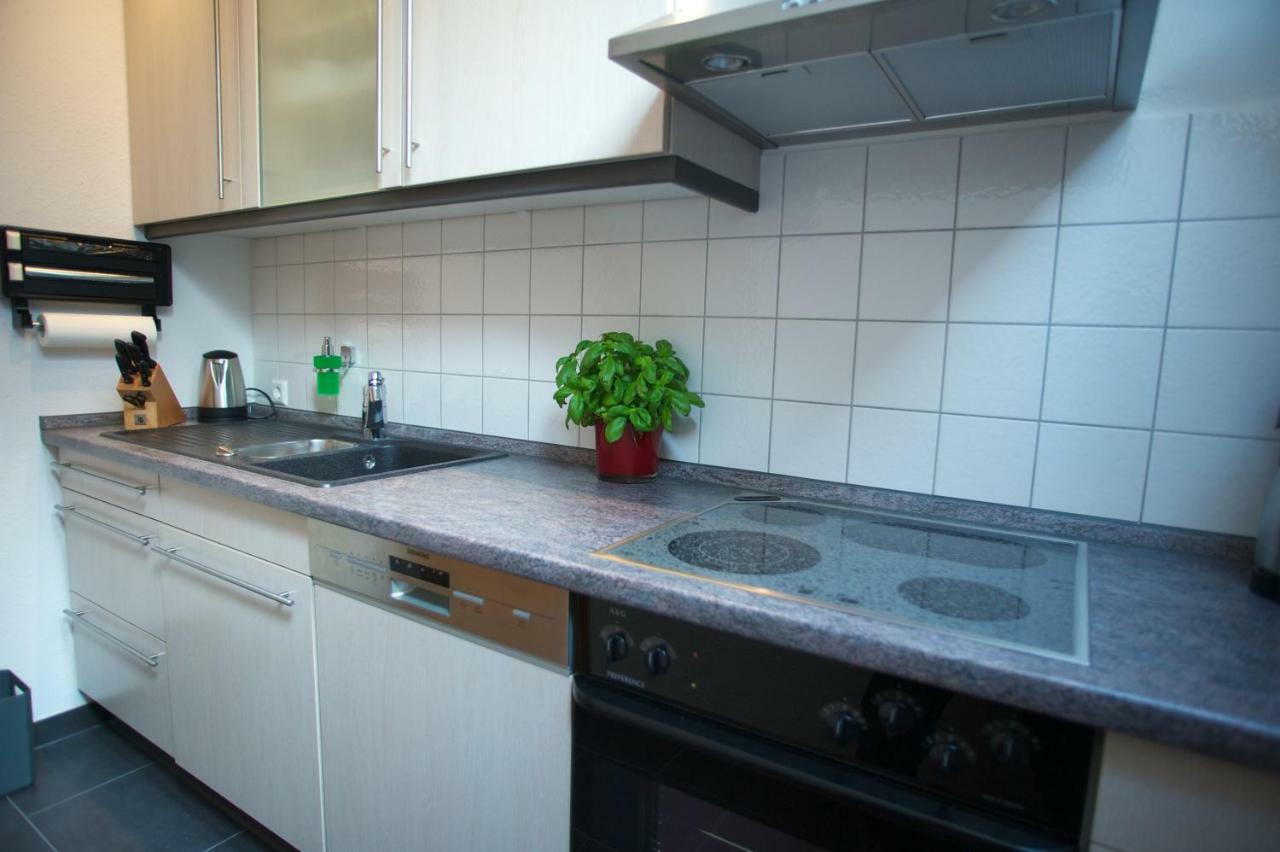 Neumann Apartment Marbach am Neckar Esterno foto